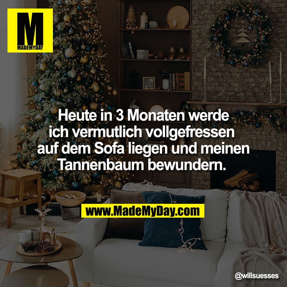 Heute in 3 Monaten werde<br />
ich vermutlich vollgefressen <br />
auf dem Sofa liegen und meinen<br />
Tannenbaum bewundern.