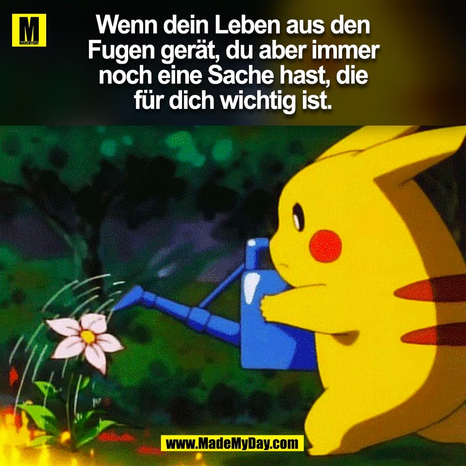 Wenn dein Leben aus den<br />
Fugen gerät, du aber immer<br />
noch eine Sache hast, die<br />
für dich wichtig ist.<br />
(BILD)