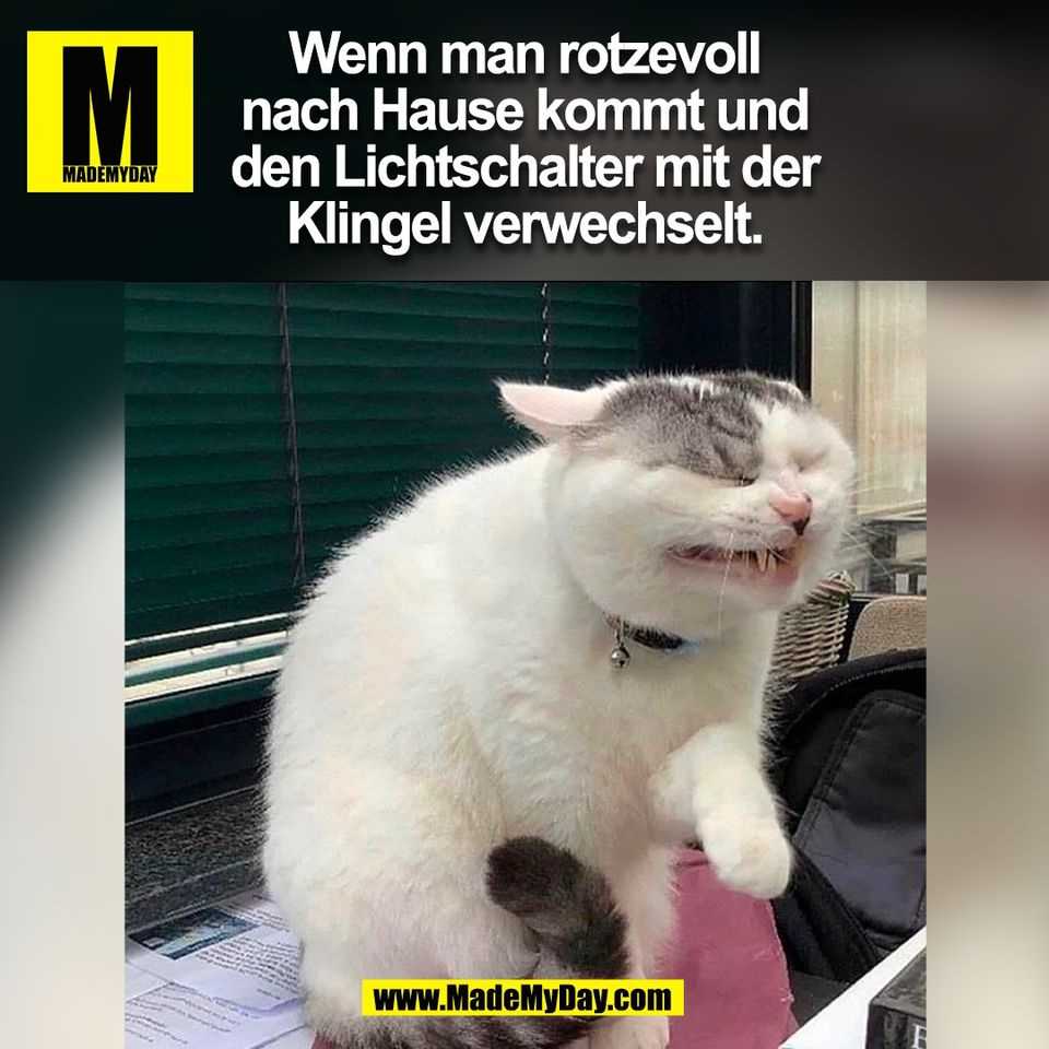 Wenn man rotzevoll<br />
nach Hause kommt und<br />
den Lichtschalter mit der<br />
Klingel verwechselt.<br />
(BILD)