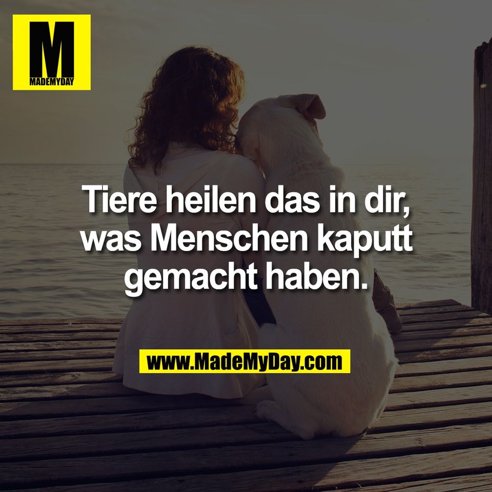 Tiere heilen das in dir,<br />
was Menschen kaputt<br />
gemacht haben.