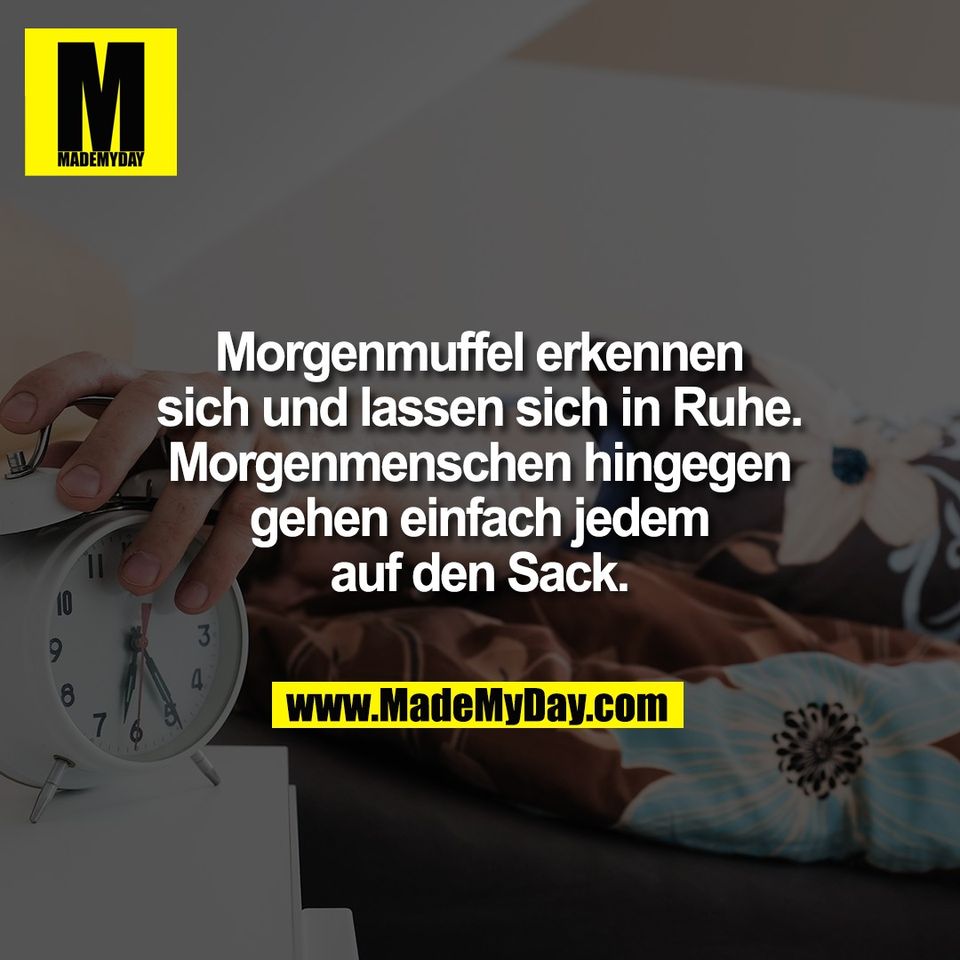 Morgenmuffel erkennen<br />
sich und lassen sich in Ruhe.<br />
Morgenmenschen hingegen<br />
gehen einfach jedem<br />
auf den Sack.