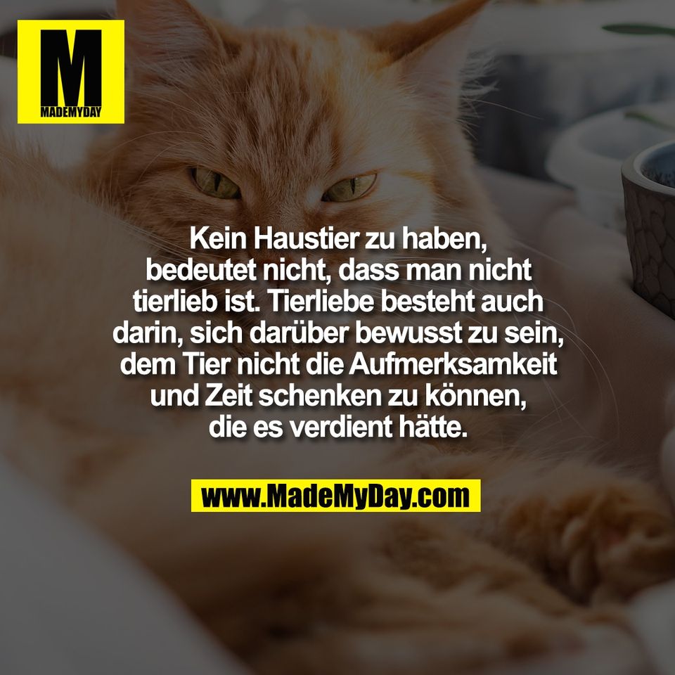 Kein Haustier zu haben,<br />
bedeutet nicht, dass man nicht<br />
tierlieb ist. Tierliebe besteht auch<br />
darin, sich darüber bewusst zu sein,<br />
dem Tier nicht die Aufmerksamkeit<br />
und Zeit schenken zu können,<br />
die es verdient hätte.