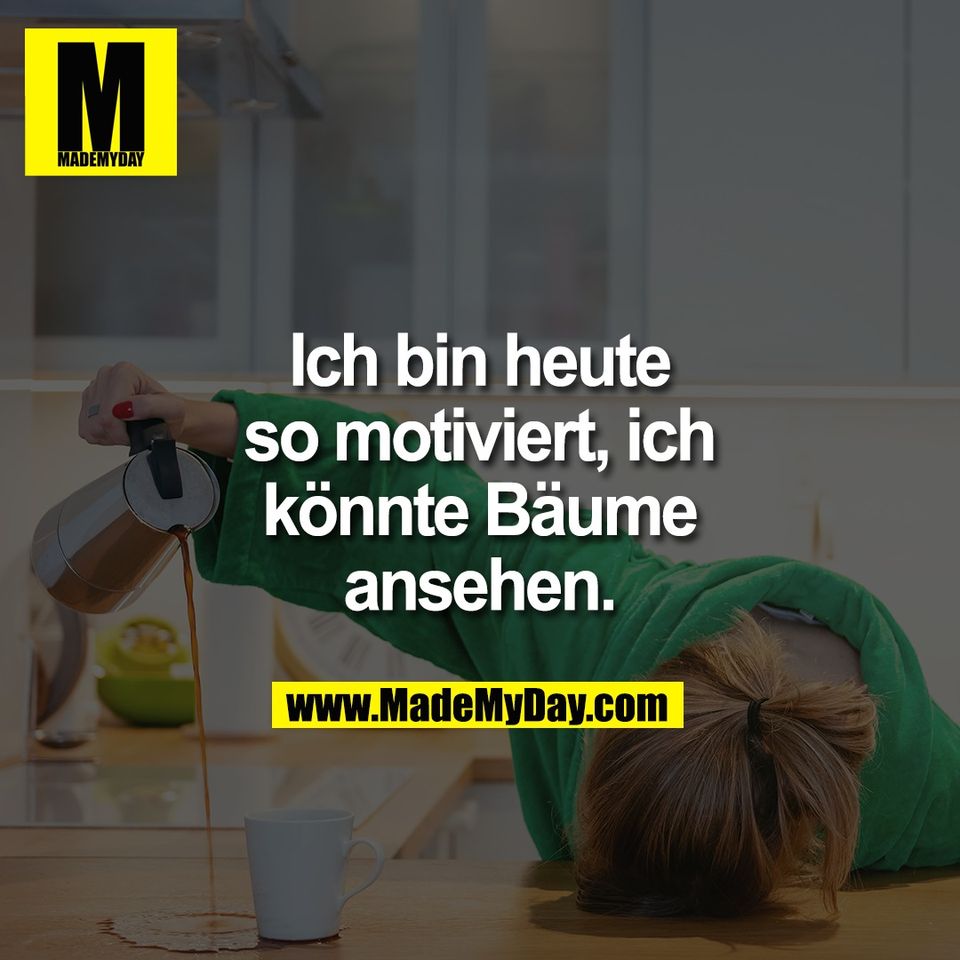 Ich bin heute<br />
so motiviert, ich<br />
könnte Bäume<br />
ansehen.