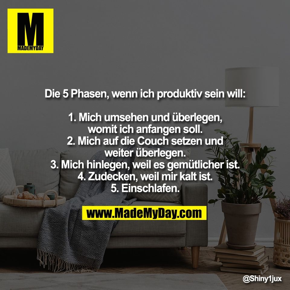 Die 5 Phasen, wenn ich produktiv sein will:<br />
<br />
1. Mich umsehen und überlegen,<br />
womit ich anfangen soll.<br />
2. Mich auf die Couch setzen und<br />
weiter überlegen.<br />
3. Mich hinlegen, weil es gemütlicher ist.<br />
4. Zudecken, weil mir kalt ist.<br />
5. Einschlafen.