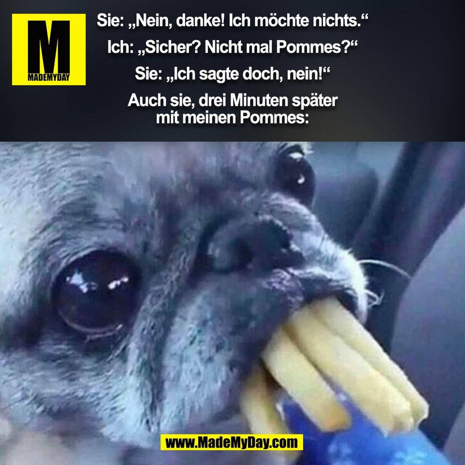 Sie: „Nein, danke! Ich möchte nichts.“<br />
<br />
Ich: „Sicher? Nicht mal Pommes?“<br />
<br />
Sie: „Ich sagte doch, nein!“<br />
<br />
Auch sie, drei Minuten später<br />
mit meinen Pommes:<br />
(BILD)