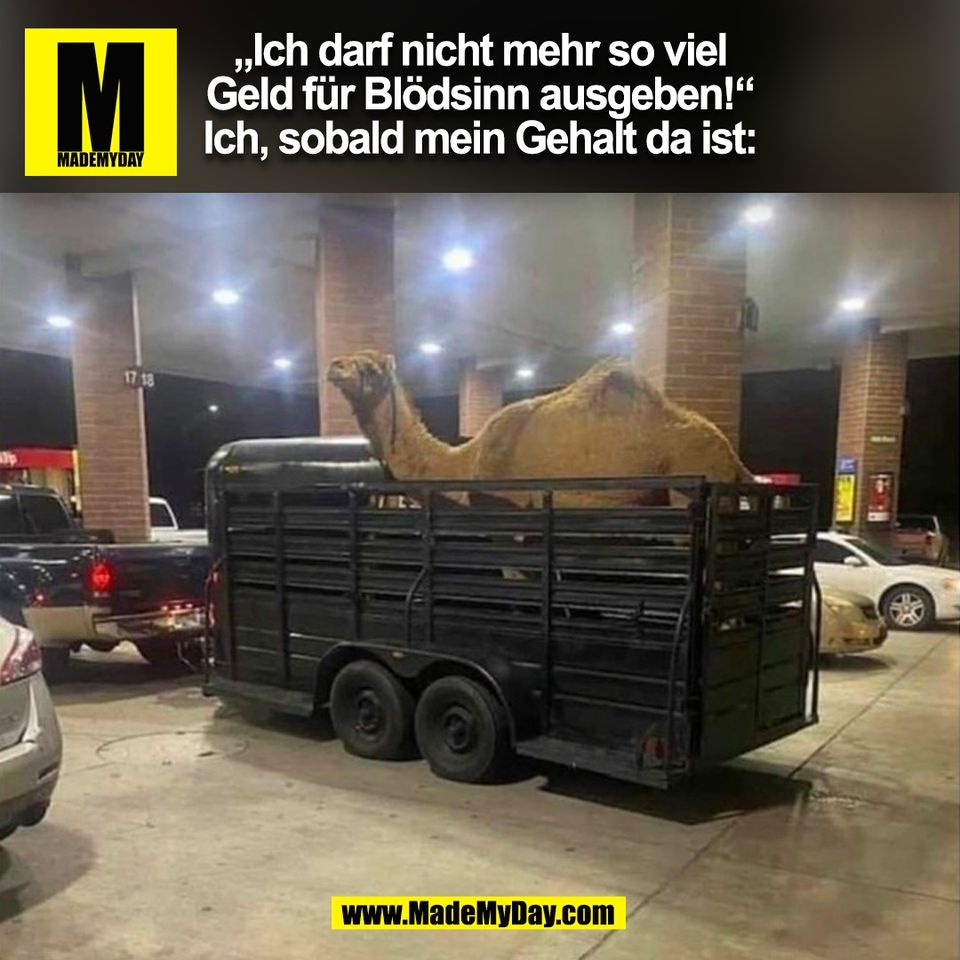 „Ich darf nicht mehr so viel Geld für Blödsinn ausgeben!“ Ich, sobald mein Gehalt da ist:<br />
(BILD)