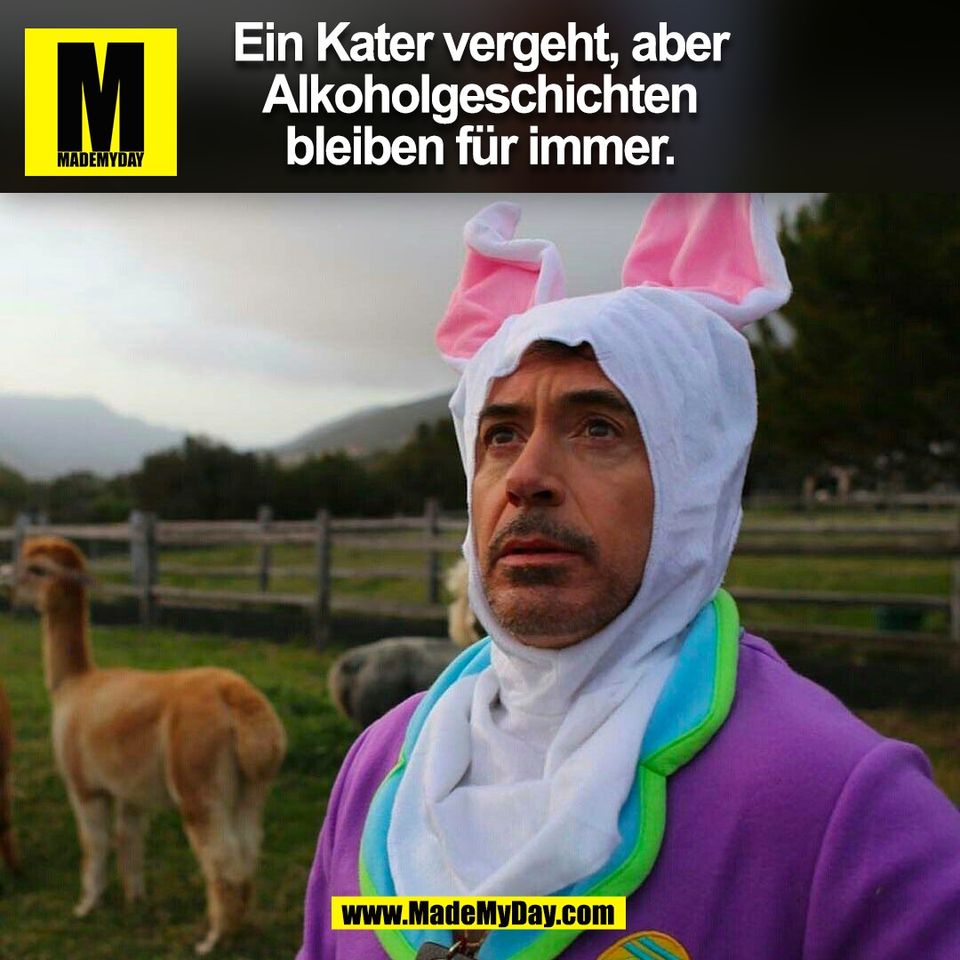 Ein Kater vergeht, aber<br />
Alkoholgeschichten<br />
bleiben für immer.<br />
(BILD)