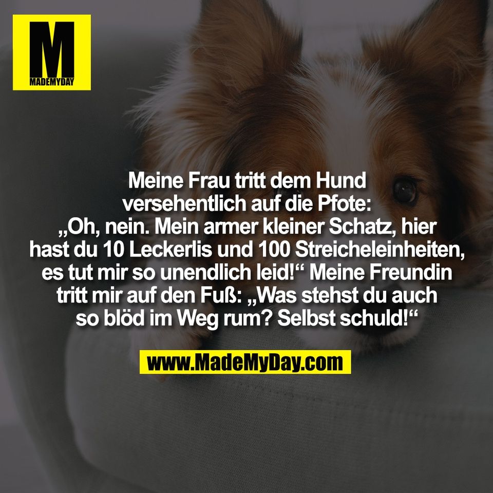 Meine Frau tritt dem Hund<br />
versehentlich auf die Pfote:<br />
„Oh, nein. Mein armer kleiner Schatz, hier<br />
hast du 10 Leckerlis und 100 Streicheleinheiten,<br />
es tut mir so unendlich leid!“ Meine Freundin<br />
tritt mir auf den Fuß: „Was stehst du auch<br />
so blöd im Weg rum? Selbst schuld!“