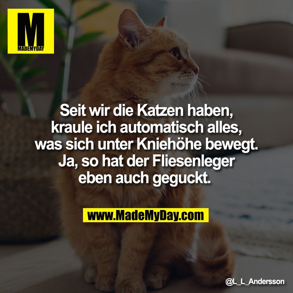 Seit wir die Katzen haben,<br />
kraule ich automatisch alles,<br />
was sich unter Kniehöhe bewegt.<br />
Ja, so hat der Fliesenleger<br />
eben auch geguckt.