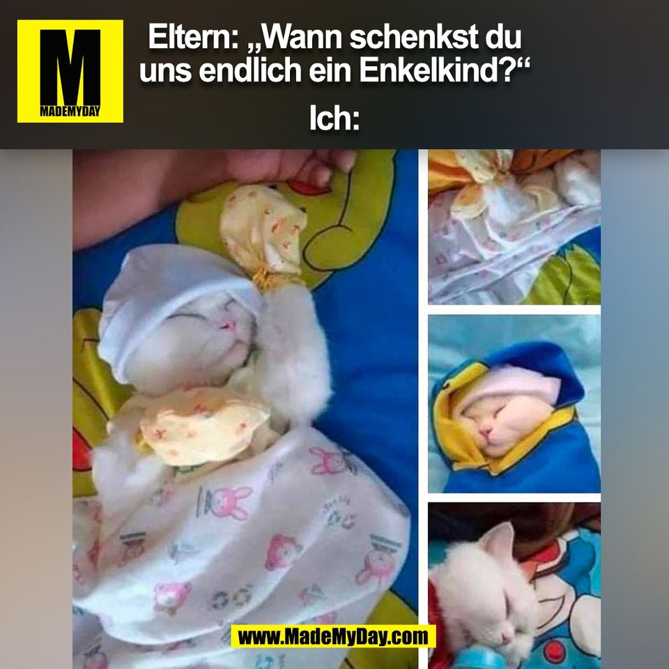 Eltern: „Wann schenkst du<br />
uns endlich ein Enkelkind?“<br />
<br />
Ich:<br />
(BILD)