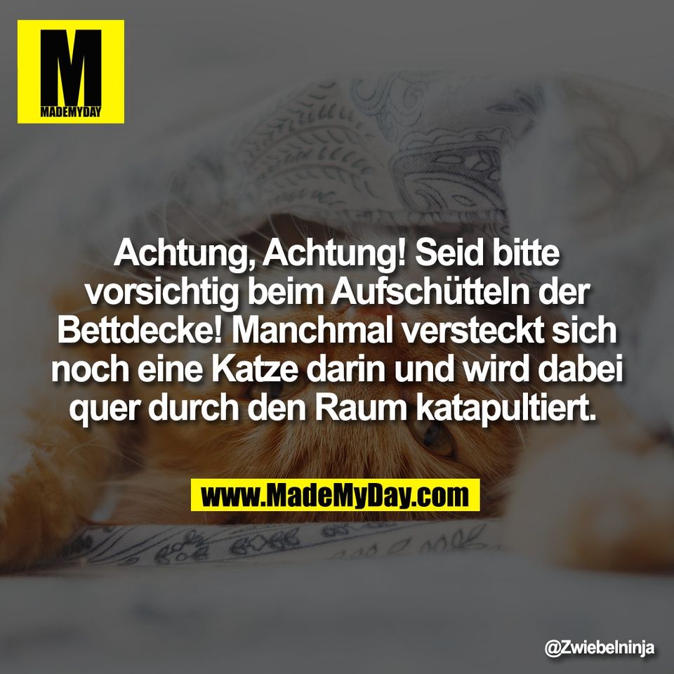 Achtung, Achtung! Seid bitte<br />
vorsichtig beim Aufschütteln der<br />
Bettdecke! Manchmal versteckt sich<br />
noch eine Katze darin und wird dabei<br />
quer durch den Raum katapultiert.