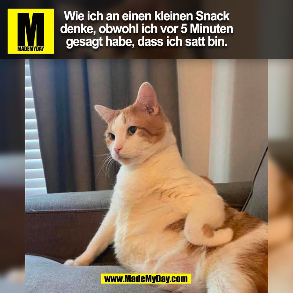Wie ich an einen kleinen Snack<br />
denke, obwohl ich vor 5 Minuten<br />
gesagt habe, dass ich satt bin.<br />
(BILD)