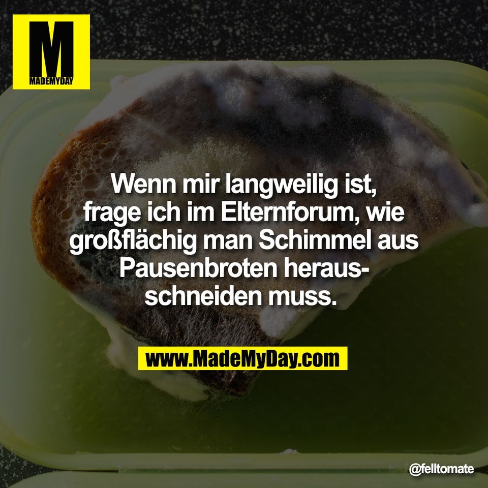 Wenn mir langweilig ist,<br />
frage ich im Elternforum, wie<br />
großflächig man Schimmel aus<br />
Pausenbroten heraus-<br />
schneiden muss.