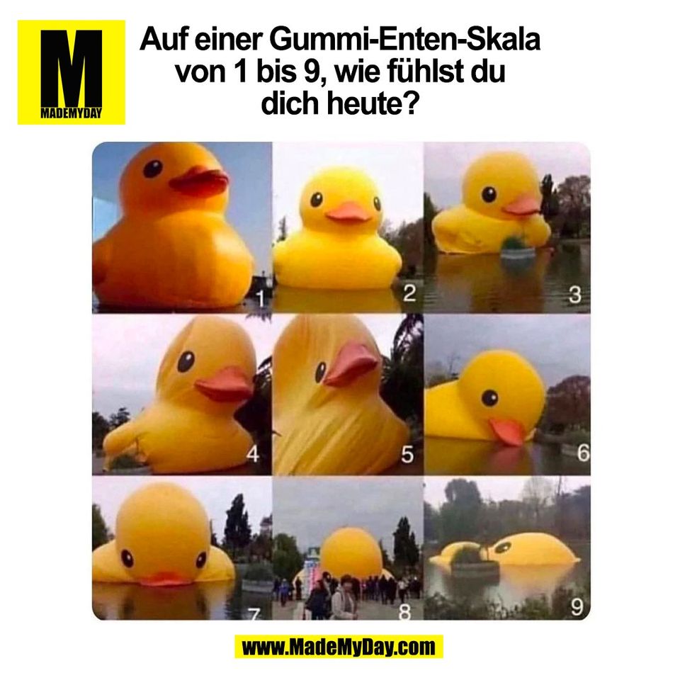 Auf einer Gummi-Enten-Skala<br />
von 1 bis 9, wie fühlst du<br />
dich heute?<br />
(BILD)