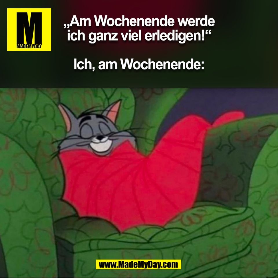 „Am Wochenende werde<br />
ich ganz viel erledigen!“<br />
<br />
Ich, am Wochenende:<br />
(BILD)
