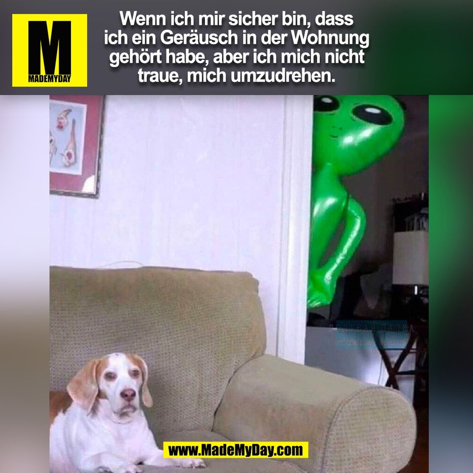 Wenn ich mir sicher bin, dass<br />
ich ein Geräusch in der Wohnung<br />
gehört habe, aber ich mich nicht<br />
traue, mich umzudrehen.<br />
(BILD)