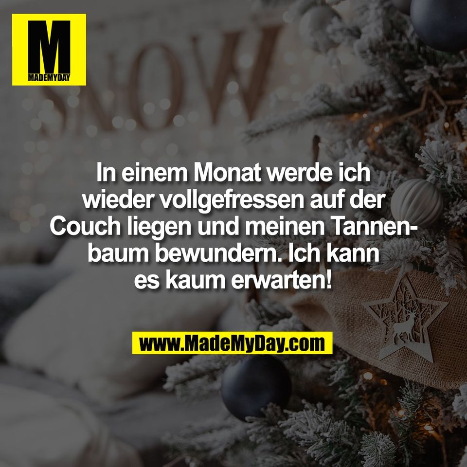 In einem Monat werde ich<br />
wieder vollgefressen auf der<br />
Couch liegen und meinen Tannen-<br />
baum bewundern. Ich kann<br />
es kaum erwarten!