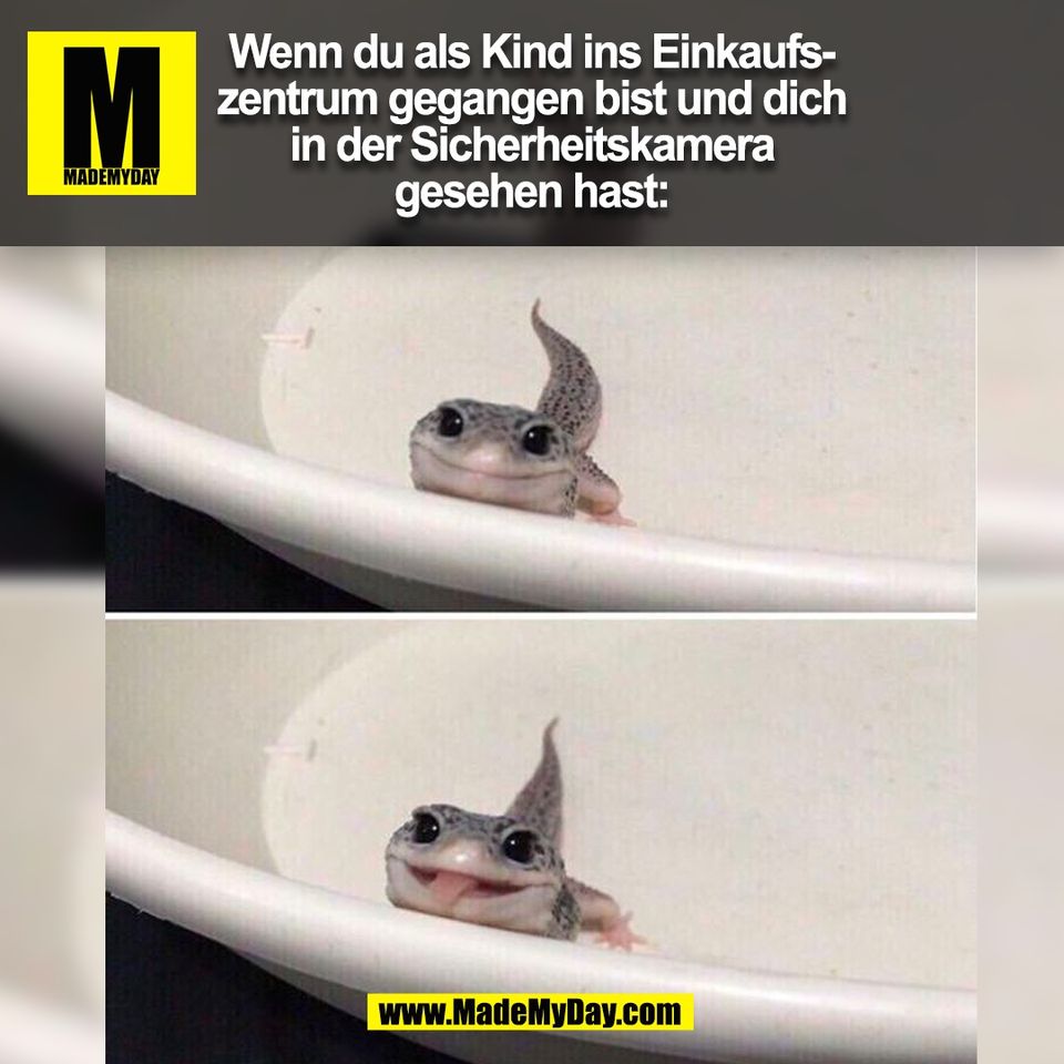 Wenn du als Kind ins Einkaufs-<br />
zentrum gegangen bist und dich<br />
in der Sicherheitskamera<br />
gesehen hast:<br />
(BILD)