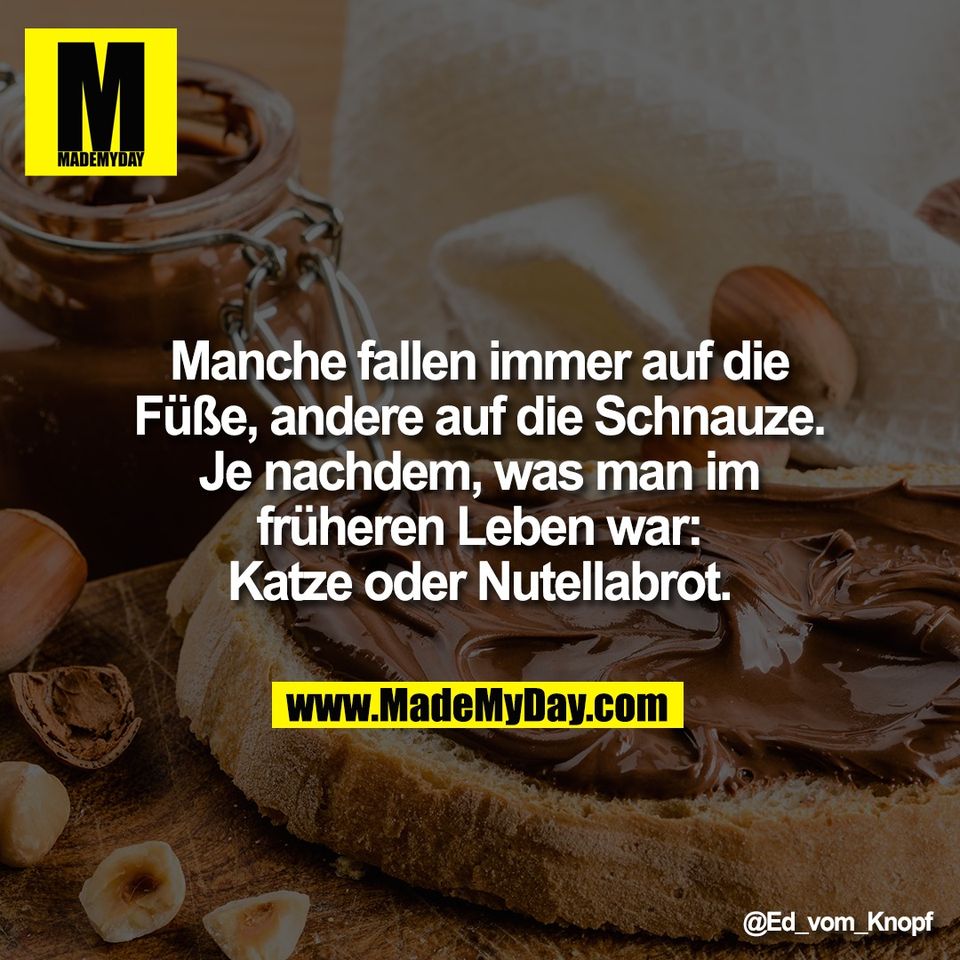 Manche fallen immer auf die<br />
Füße, andere auf die Schnauze.<br />
Je nachdem, was man im<br />
früheren Leben war:<br />
Katze oder Nutellabrot.