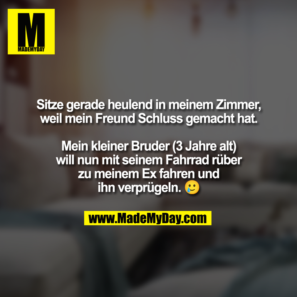 Sitze gerade heulend in meinem Zimmer,<br />
weil mein Freund Schluss gemacht hat.<br />
<br />
Mein kleiner Bruder (3 Jahre alt)<br />
will nun mit seinem Fahrrad rüber<br />
zu meinem Ex fahren und<br />
ihn verprügeln. 🥲