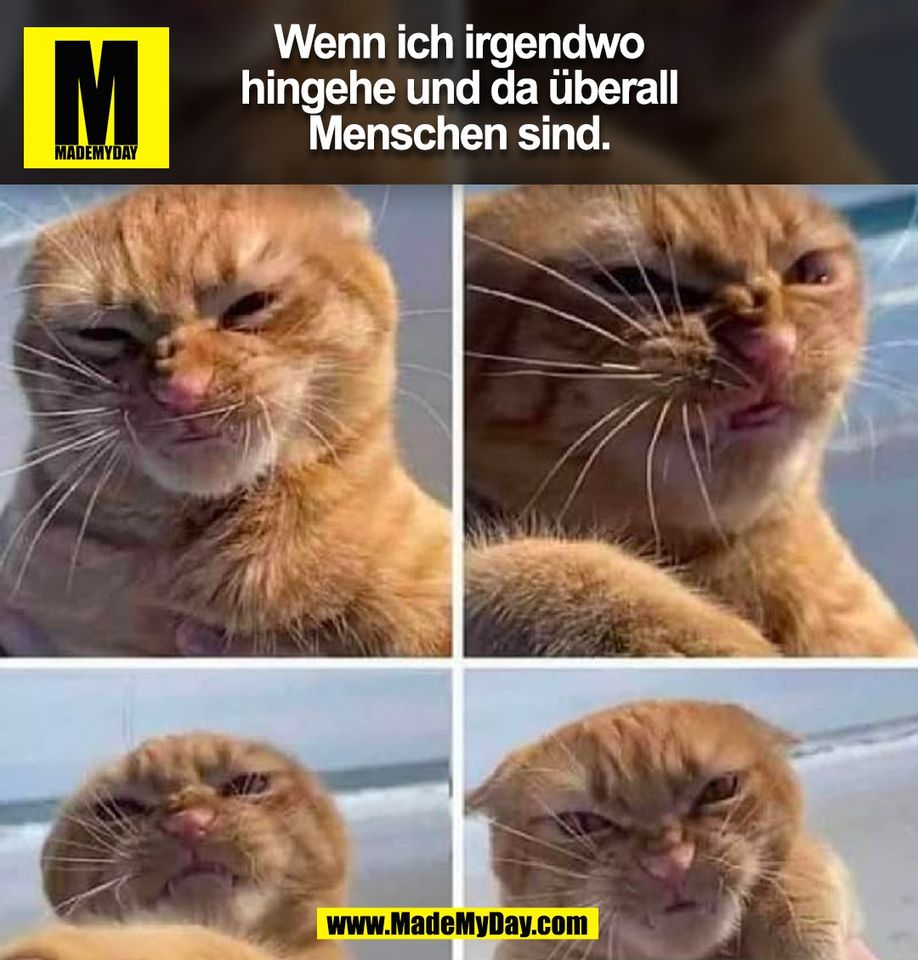 Wenn ich irgendwo<br />
hingehe und da überall<br />
Menschen sind.<br />
(BILD)