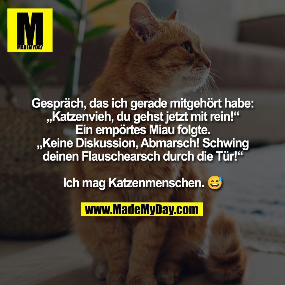 Gespräch, das ich gerade mitgehört habe:<br />
„Katzenvieh, du gehst jetzt mit rein!“<br />
Ein empörtes Miau folgte.<br />
„Keine Diskussion, Abmarsch! Schwing<br />
deinen Flauschearsch durch die Tür!“<br />
<br />
Ich mag Katzenmenschen. 😅
