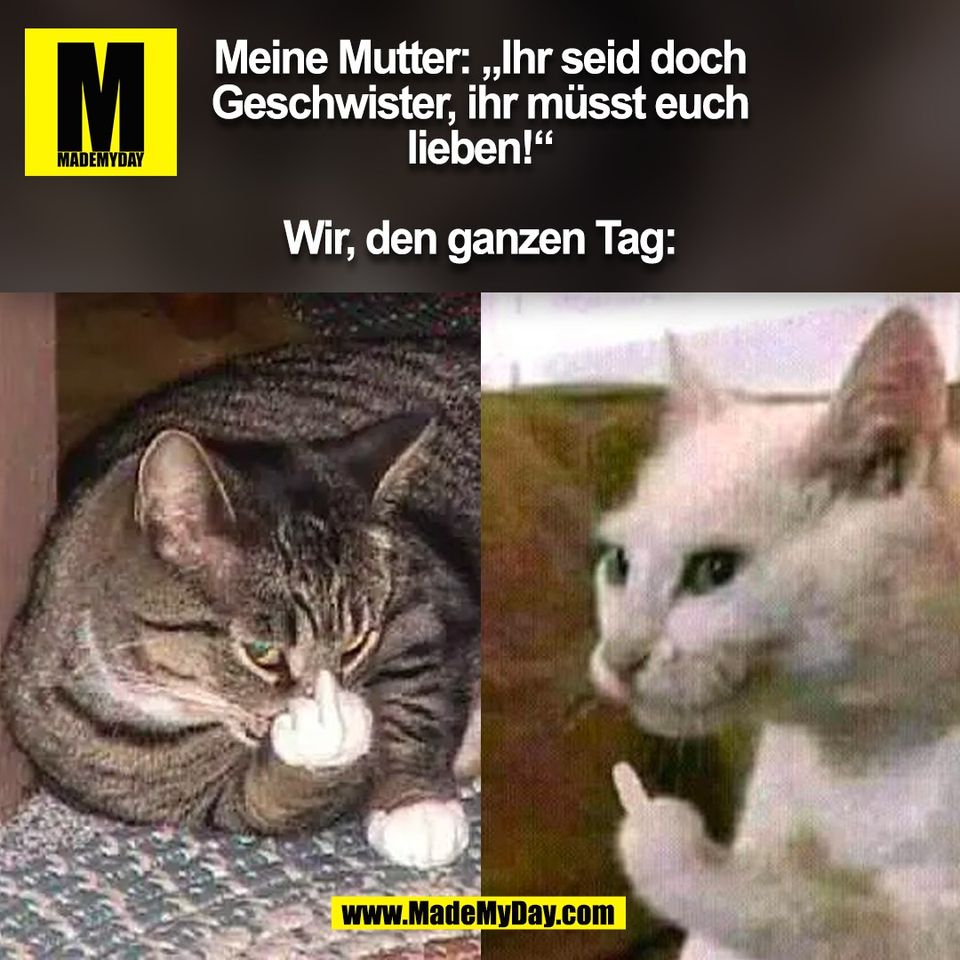 Meine Mutter: „Ihr seid doch<br />
Geschwister, ihr müsst euch<br />
lieben!“<br />
<br />
Wir, den ganzen Tag:<br />
(BILD)