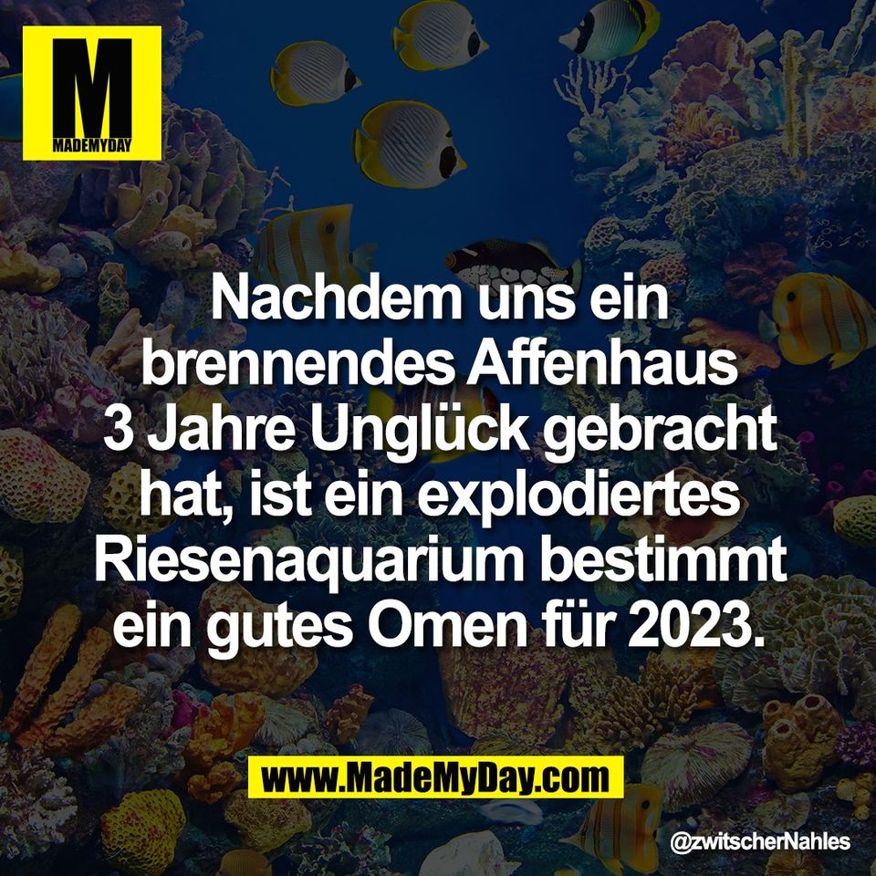 Nachdem uns ein<br />
brennendes Affenhaus<br />
3 Jahre Unglück gebracht<br />
hat, ist ein explodiertes<br />
Riesenaquarium bestimmt<br />
ein gutes Omen für 2023.