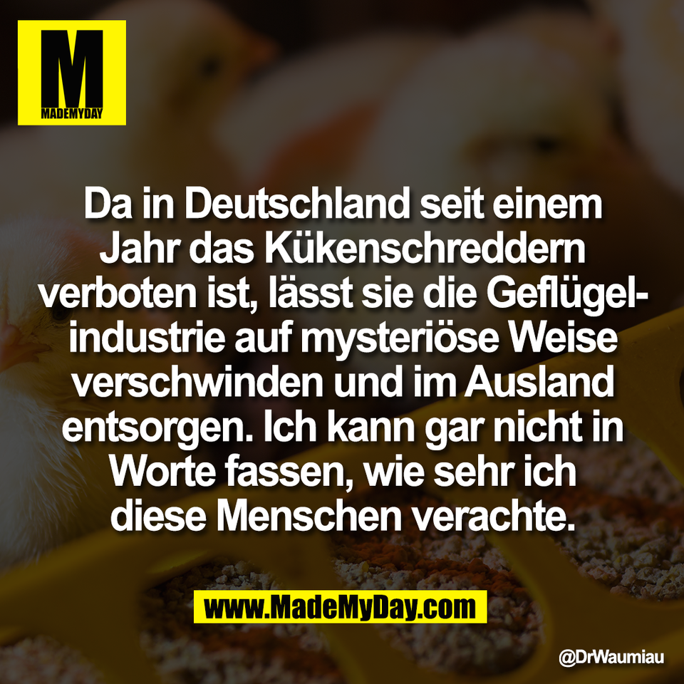 Da in Deutschland seit einem<br />
Jahr das Kükenschreddern<br />
verboten ist, lässt sie die Geflügel-<br />
industrie auf mysteriöse Weise<br />
verschwinden und im Ausland<br />
entsorgen. Ich kann gar nicht in<br />
Worte fassen, wie sehr ich<br />
diese Menschen verachte.