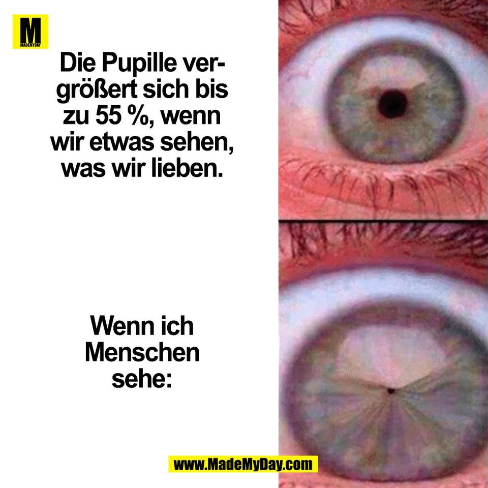 Die Pupille ver-<br />
größert sich bis<br />
zu 55 %, wenn<br />
wir etwas sehen,<br />
was wir lieben.<br />
<br />
<br />
<br />
<br />
<br />
Wenn ich<br />
Menschen<br />
sehe:<br />
(BILD)