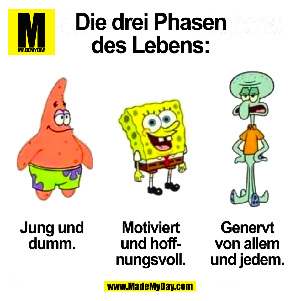 Die drei Phasen<br />
des Lebens:<br />
Jung und dumm.<br />
Motiviert und hoffnungsvoll.<br />
Genervt von allem und jedem.<br />
(BILD)
