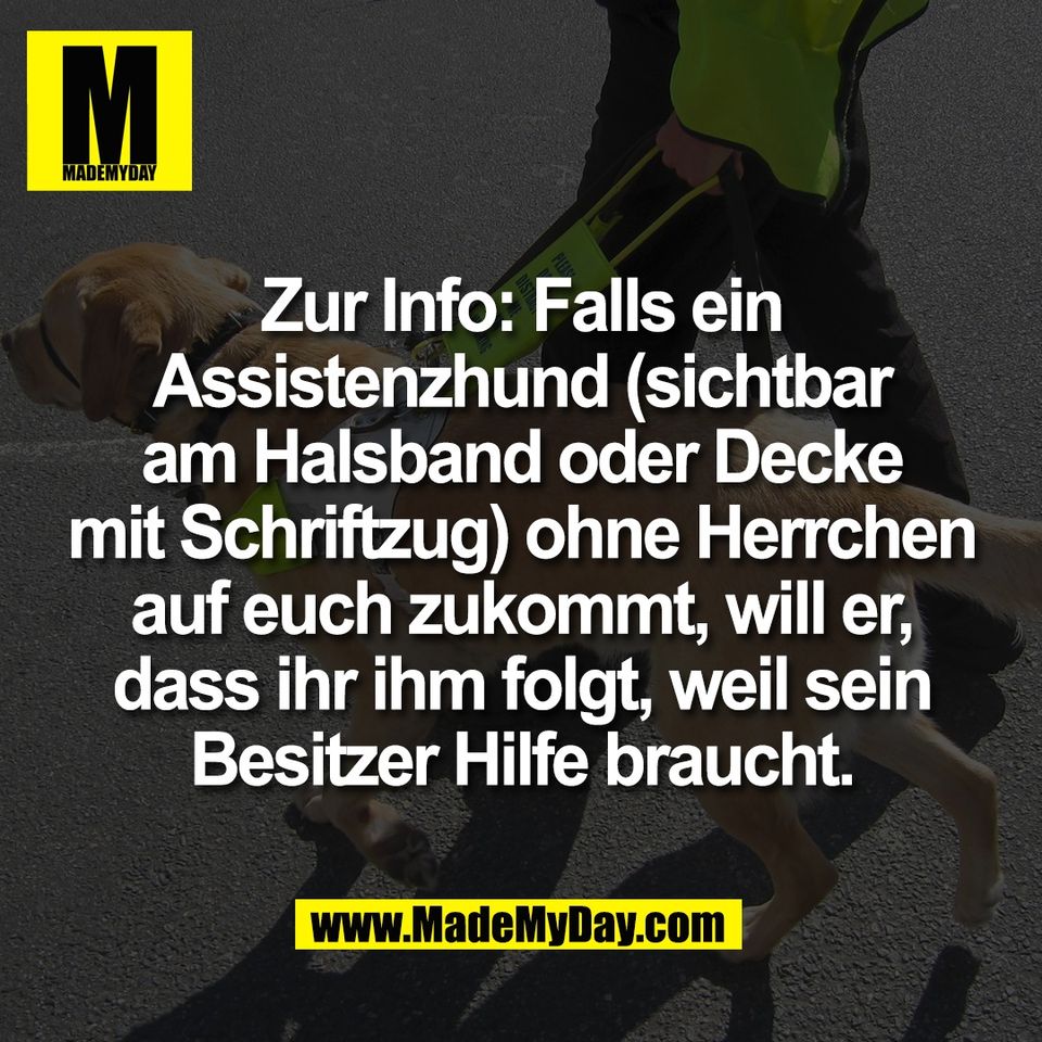 Zur Info: Falls ein<br />
Assistenzhund (sichtbar<br />
am Halsband oder Decke<br />
mit Schriftzug) ohne Herrchen<br />
auf euch zukommt, will er,<br />
dass ihr ihm folgt, weil sein<br />
Besitzer Hilfe braucht.