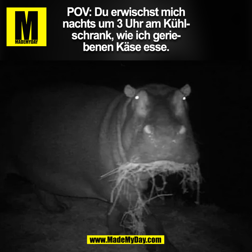 POV: Du erwischst mich<br />
nachts um 3 Uhr am Kühl-<br />
schrank, wie ich gerie-<br />
benen Käse esse.<br />
(BILD)