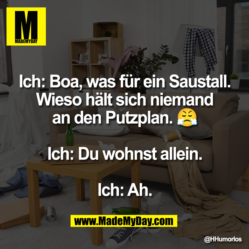 Ich: Boa, was für ein Saustall.<br />
Wieso hält sich niemand<br />
an den Putzplan. 😤<br />
<br />
Ich: Du wohnst allein.<br />
<br />
Ich: Ah.