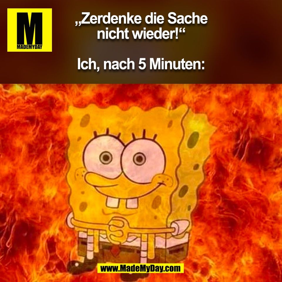 „Zerdenke die Sache<br />
nicht wieder!“<br />
<br />
Ich, nach 5 Minuten:<br />
(BILD)