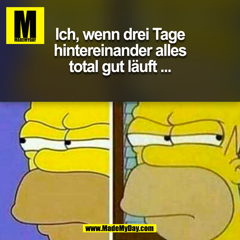 Ich, wenn drei Tage<br />
hintereinander alles<br />
total gut läuft ...<br />
(BILD)