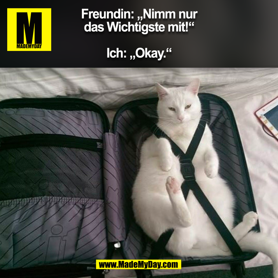 Freundin: „Nimm nur<br />
das Wichtigste mit!“<br />
<br />
Ich: „Okay.“<br />
(BILD)