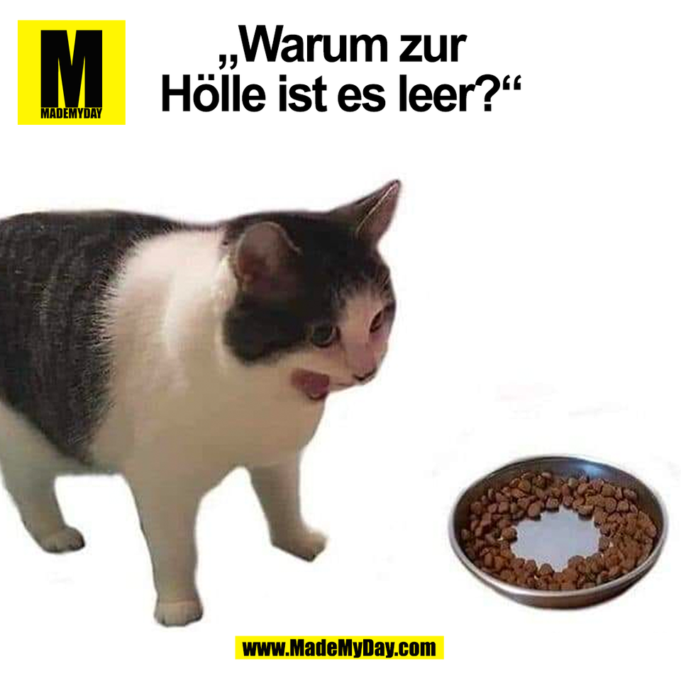 „Warum zur<br />
Hölle ist es leer?“<br />
(BILD)