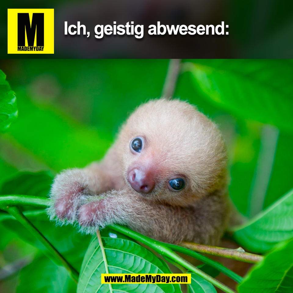 Ich, geistig abwesend:<br />
(BILD)