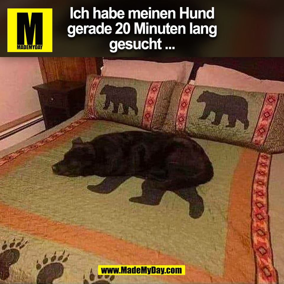 Ich habe meinen Hund<br />
gerade 20 Minuten lang<br />
gesucht ...<br />
(BILD)