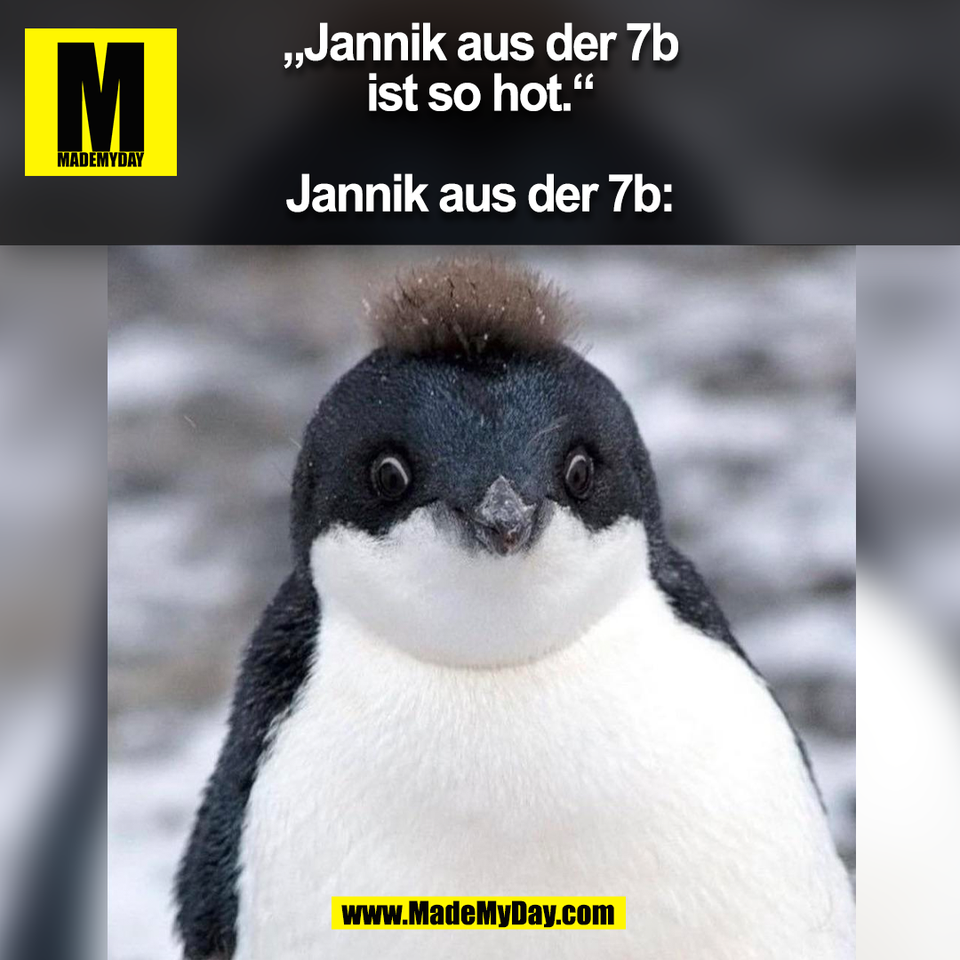 „Jannik aus der 7b<br />
ist so hot.“<br />
<br />
Jannik aus der 7b:<br />
(BILD)