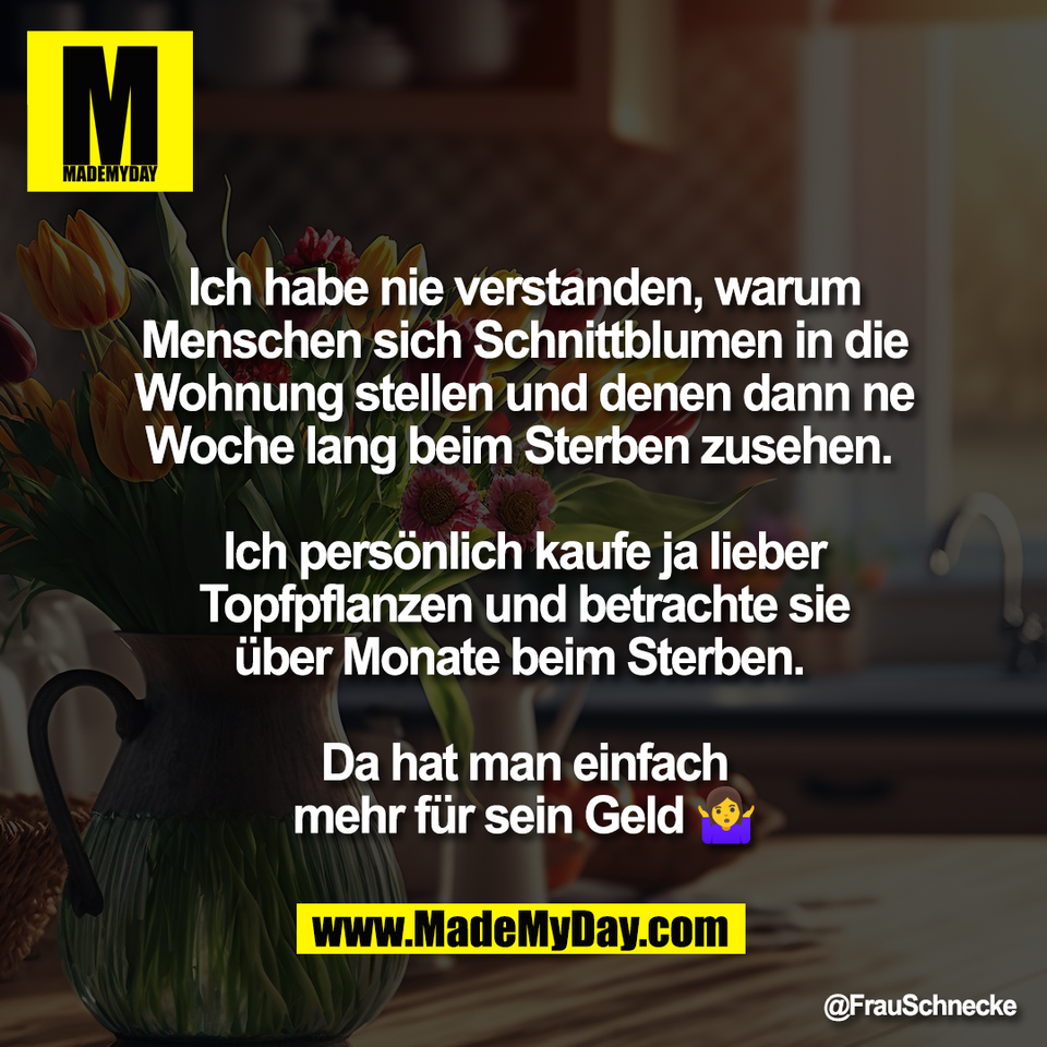 Ich habe nie verstanden, warum<br />
Menschen sich Schnittblumen in die<br />
Wohnung stellen und denen dann ne<br />
Woche lang beim Sterben zusehen. <br />
<br />
Ich persönlich kaufe ja lieber<br />
Topfpflanzen und betrachte sie<br />
über Monate beim Sterben. <br />
<br />
Da hat man einfach<br />
mehr für sein Geld 🤷‍♀️