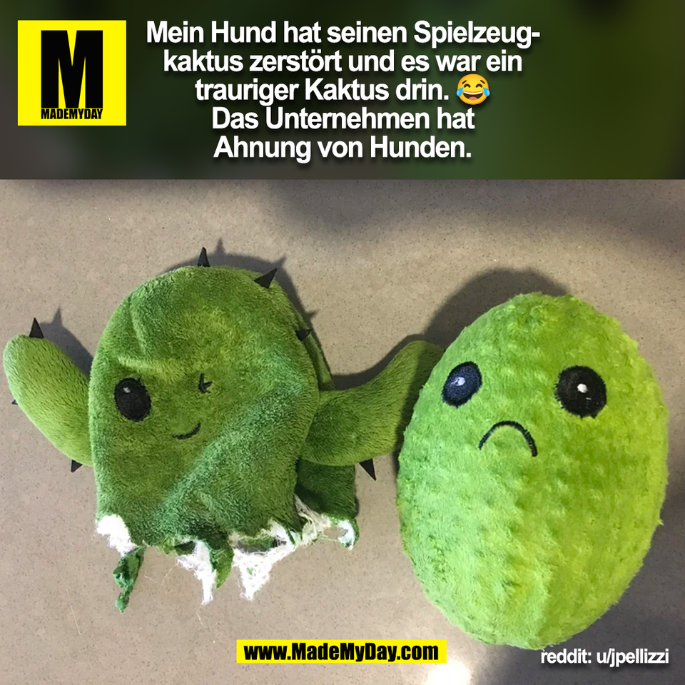 Mein Hund hat seinen Spielzeug-<br />
kaktus zerstört und es war ein<br />
trauriger Kaktus drin. 😂<br />
Das Unternehmen hat<br />
Ahnung von Hunden.<br />
(BILD)