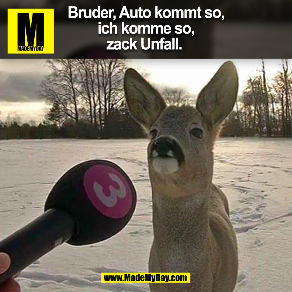 Bruder, Auto kommt so,<br />
ich komme so,<br />
zack Unfall. <br />
(BILD)