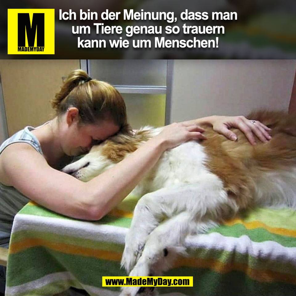 Ich bin der Meinung, dass man<br />
um Tiere genau so trauern<br />
kann wie um Menschen!<br />
(BILD)