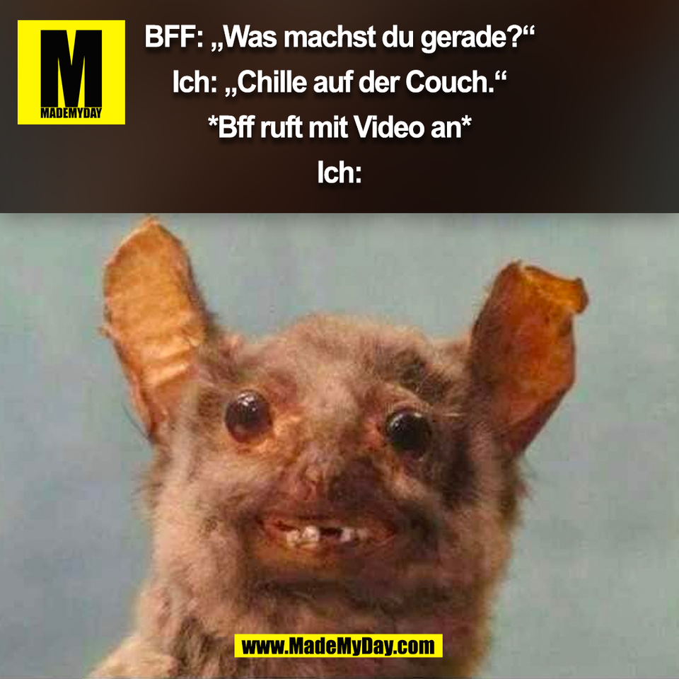 BFF: „Was machst du gerade?“<br />
<br />
Ich: „Chille auf der Couch.“<br />
<br />
*Bff ruft mit Video an*<br />
<br />
Ich:<br />
(BILD)