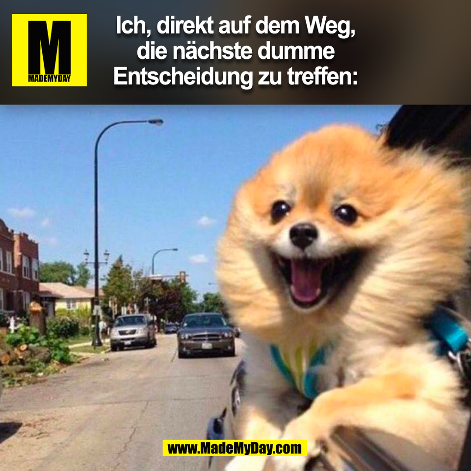 Ich, direkt auf dem Weg,<br />
die nächste dumme<br />
Entscheidung zu treffen:<br />
(BILD)