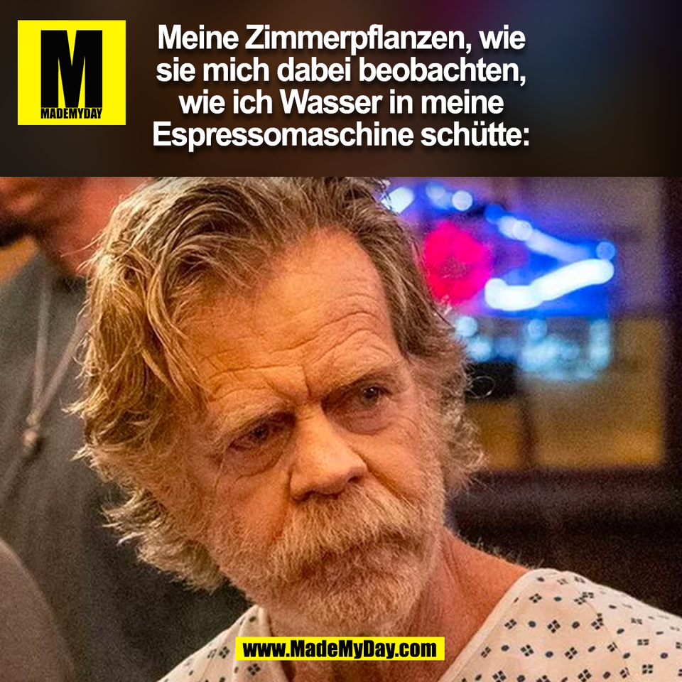 Meine Zimmerpflanzen, wie<br />
sie mich dabei beobachten,<br />
wie ich Wasser in meine<br />
Espressomaschine schütte:<br />
(BILD)