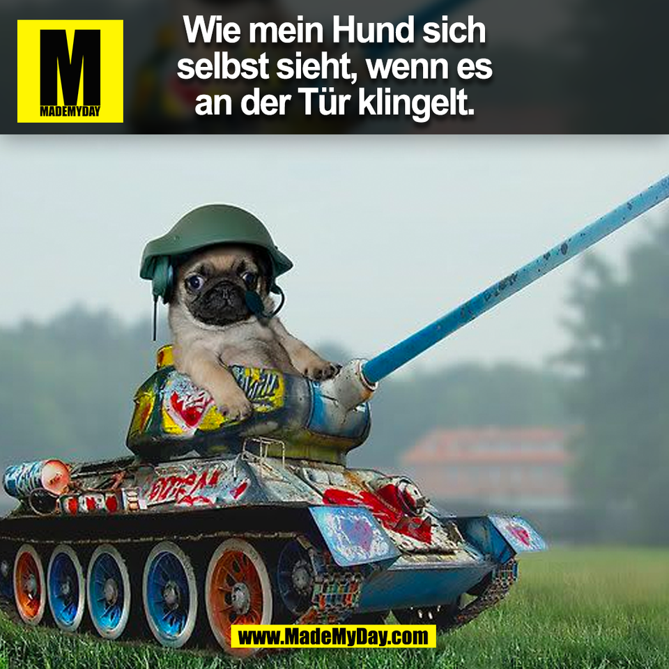 Wie mein Hund sich<br />
selbst sieht, wenn es<br />
an der Tür klingelt.<br />
(BILD)