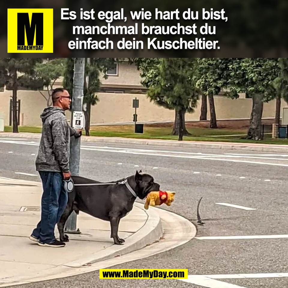 Es ist egal, wie hart du bist, manchmal brauchst du einfach dein Kuscheltier.<br />
(BILD)